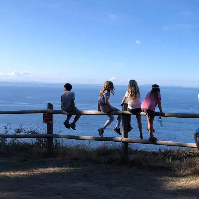 6.3 fall 23 (5)square